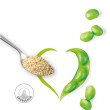 LECITINA DE SOJA GRANULADA 275G SANTIVERI