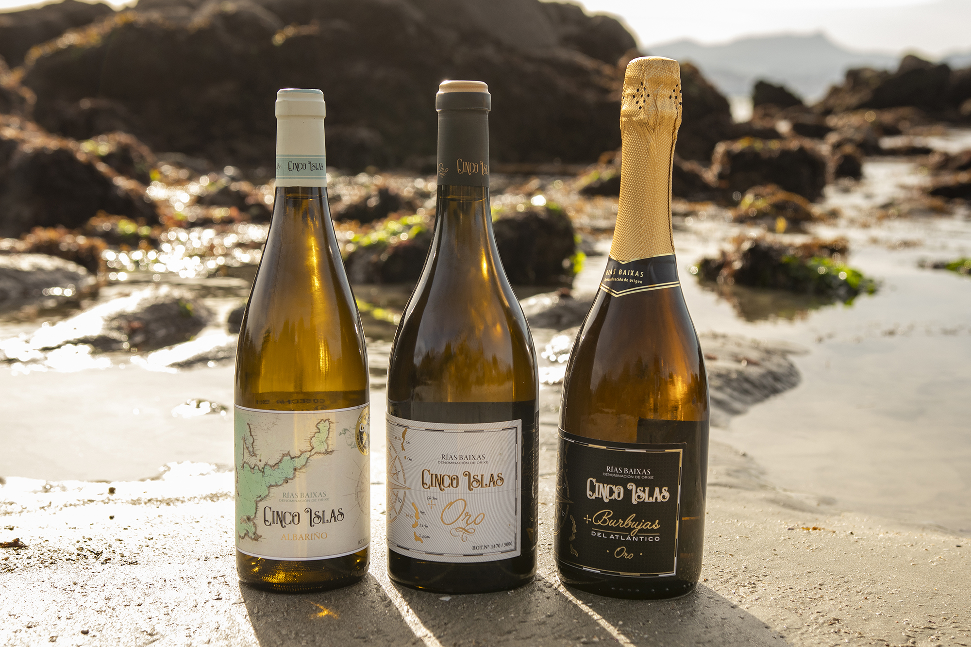 Vino Albariño Cinco Islas