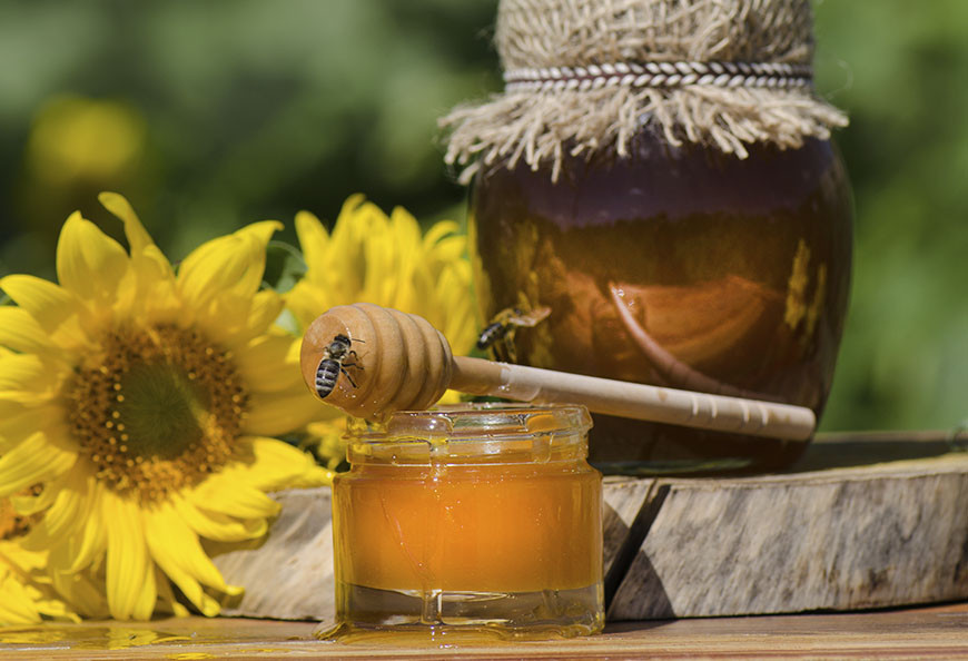 Descubre Nuestras Mieles Naturales y Artesanales